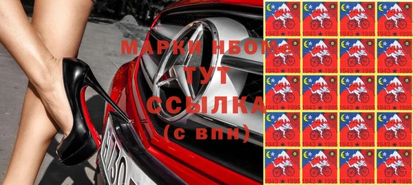 гашик Россошь