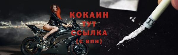 гашик Россошь