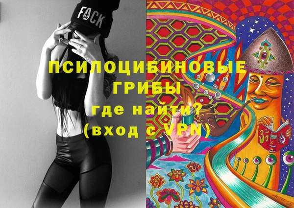 гашик Россошь